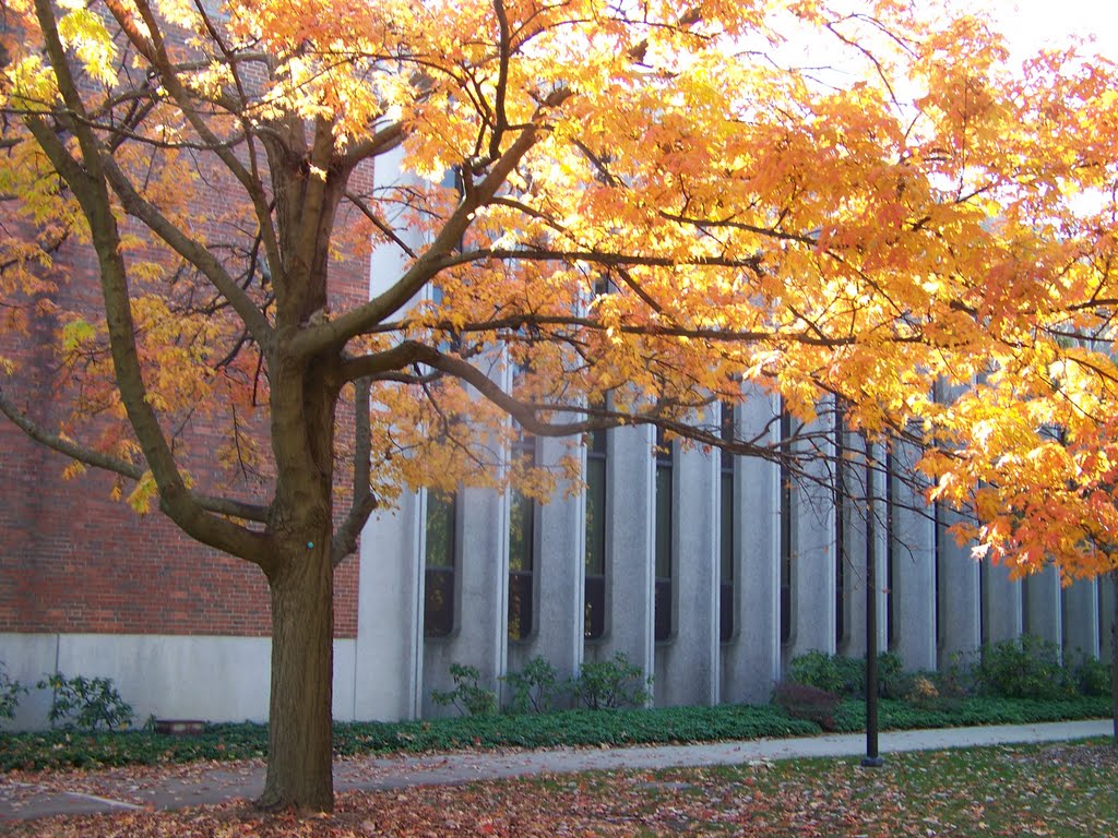 Elmhurst College
