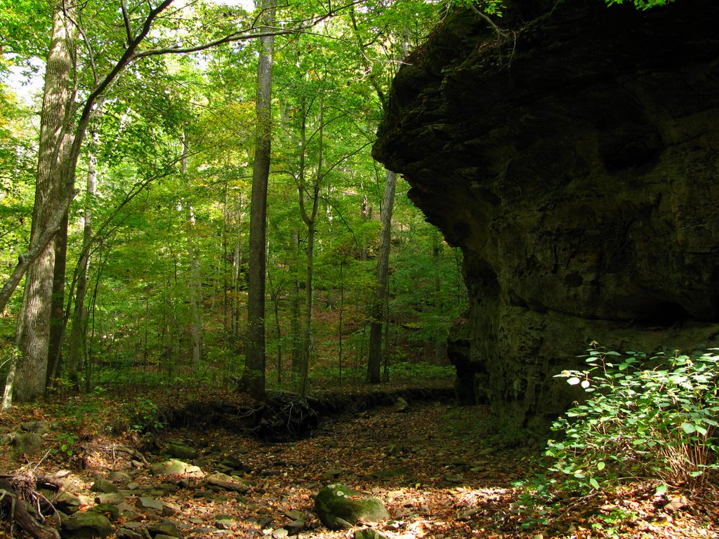 Shawnee National Forest
