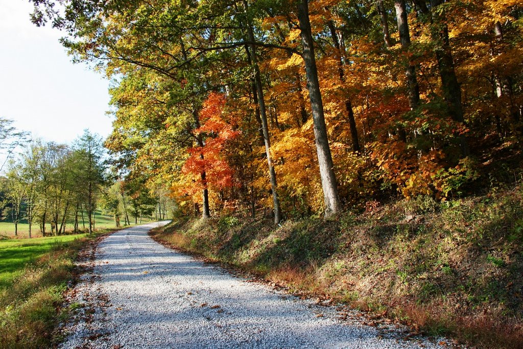 Southern Illinois Autumn In Saline County, Illinois ......(1622394350)
