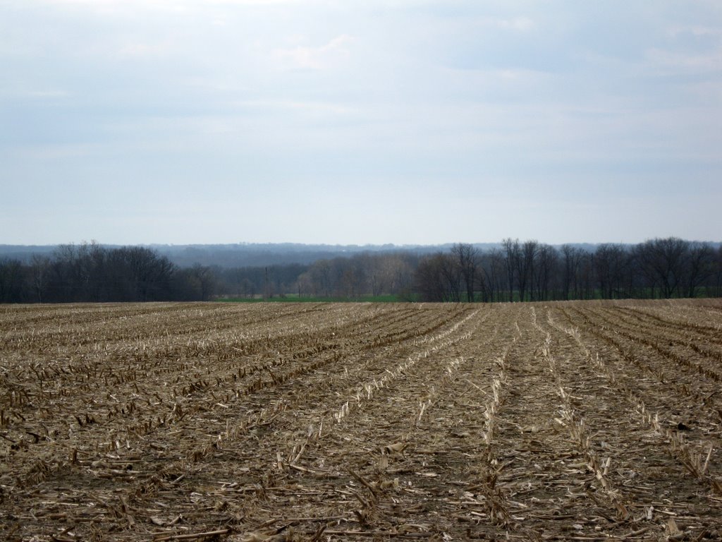 On the Heights of Randolph County