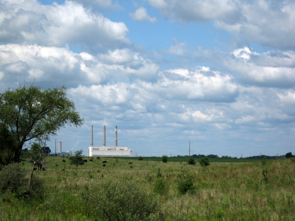 Baldwin Power Plant