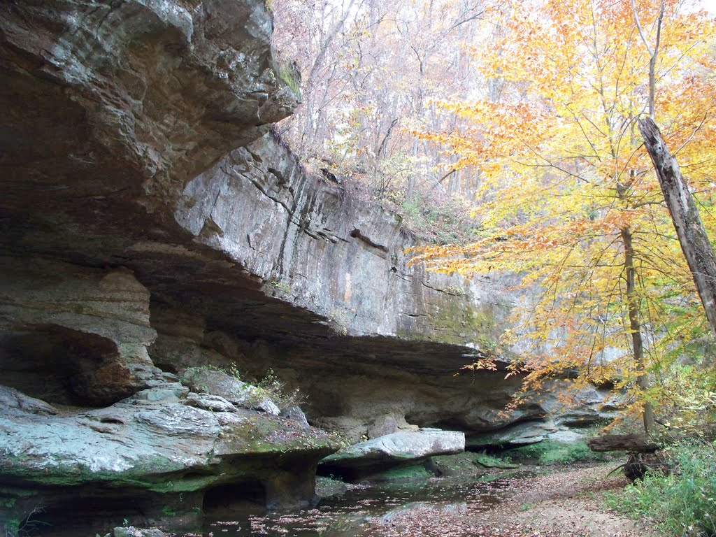 Piney Creek Ravine