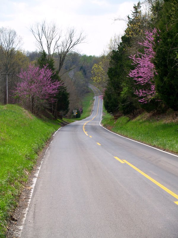 Old alignment of US 51