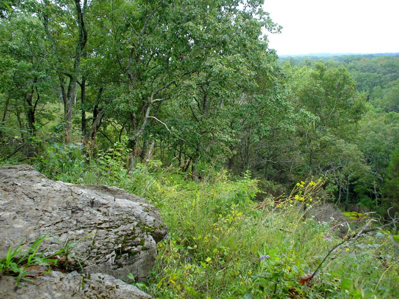 Wildcat Bluff