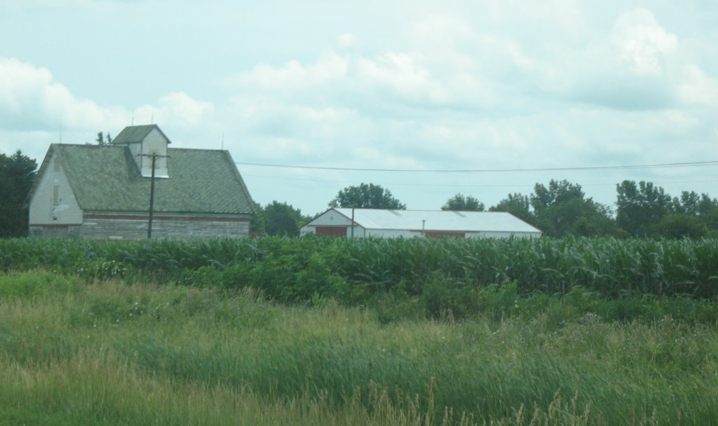 Barns near Ladd