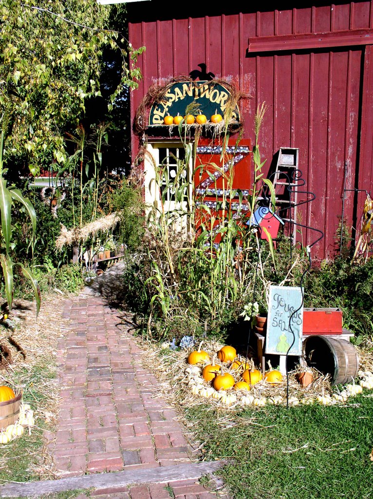 Bishop Hill barn shop
