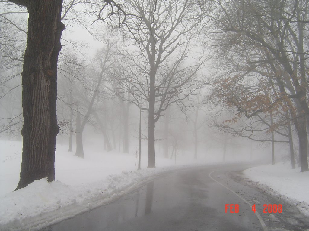 Rainny day, foggy day, snowy day and Monday!