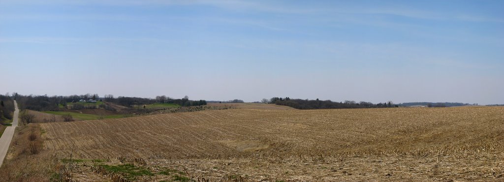 Rolling Hills near Kewanee