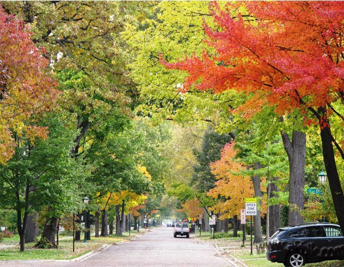 Wilmette in the fall of 2009