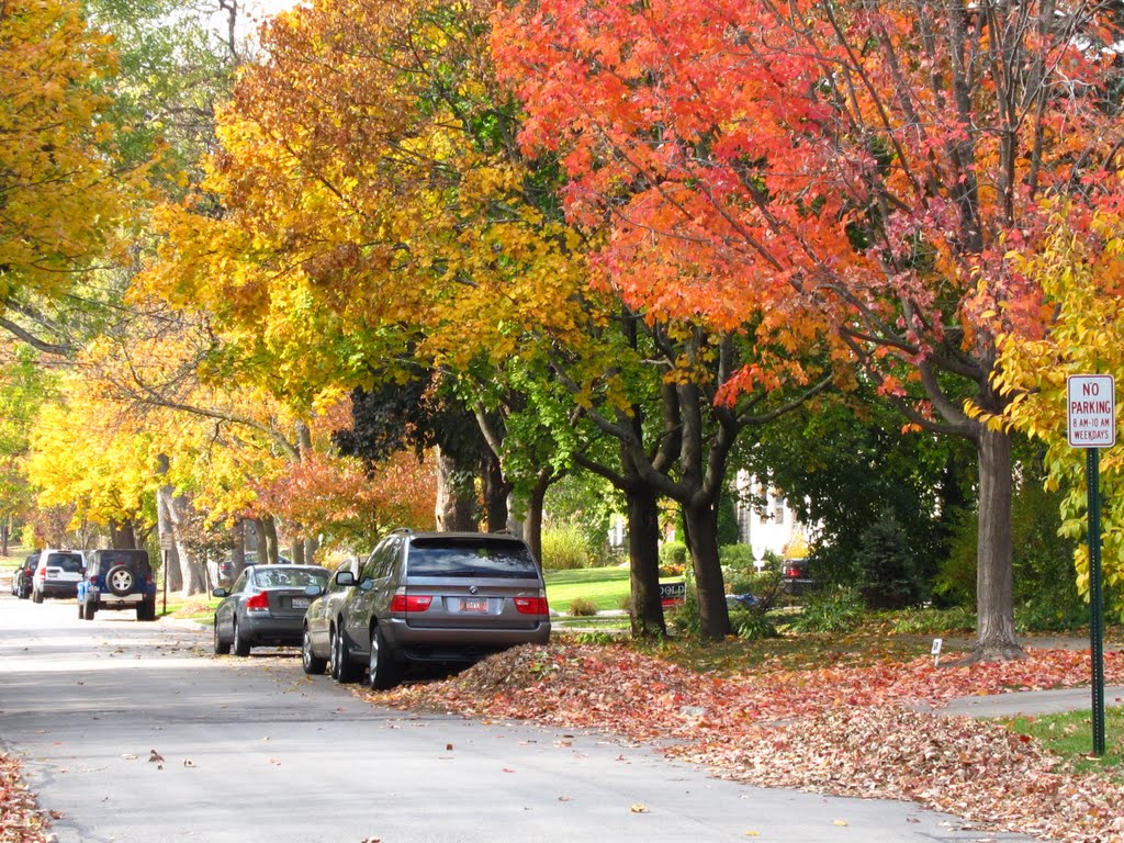 Winnetka, IL- Fall Colors