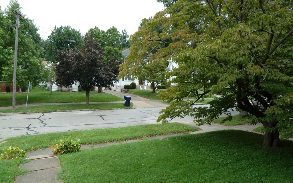 My Front Yard