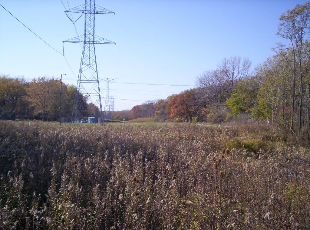 Lansing Forest Preserve