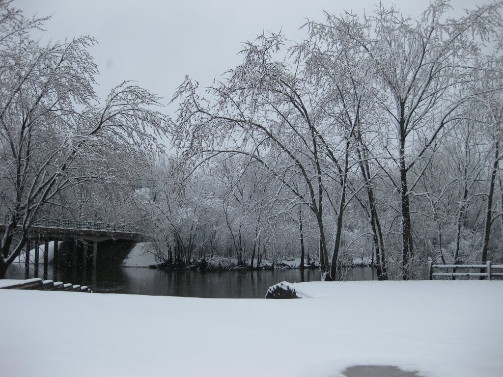 Des Plaines River Trail in the Winter