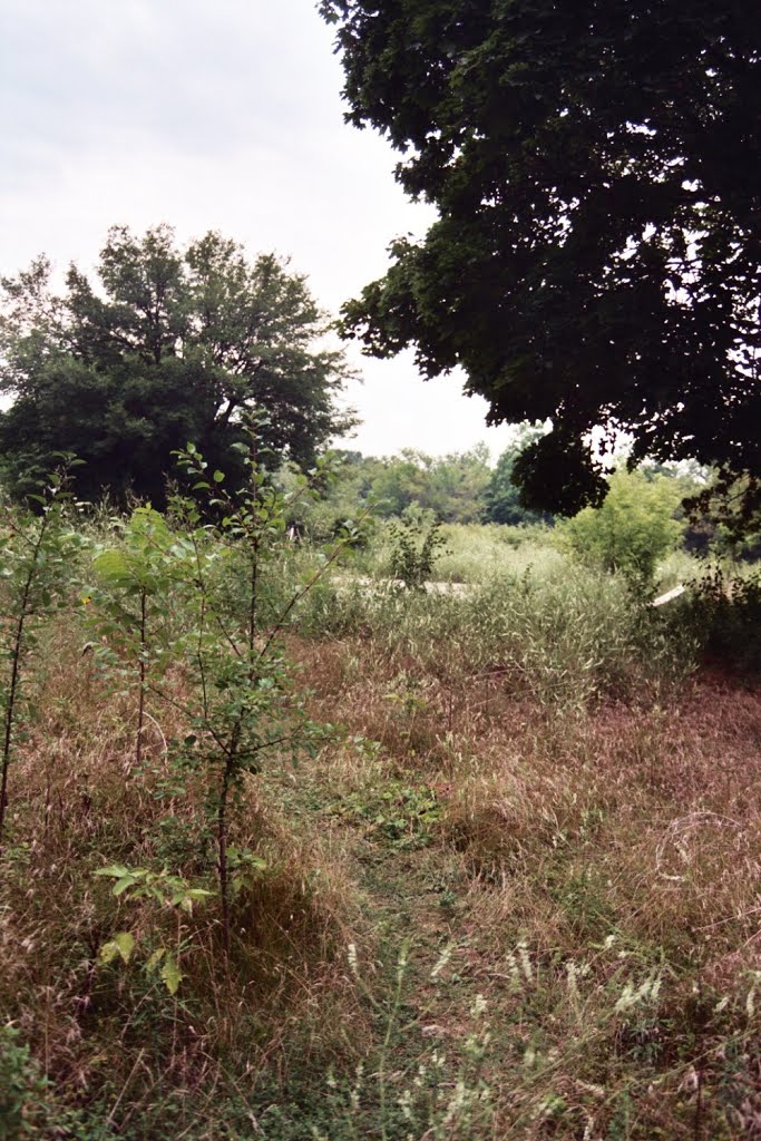 Abandoned Industrial Site, 2008