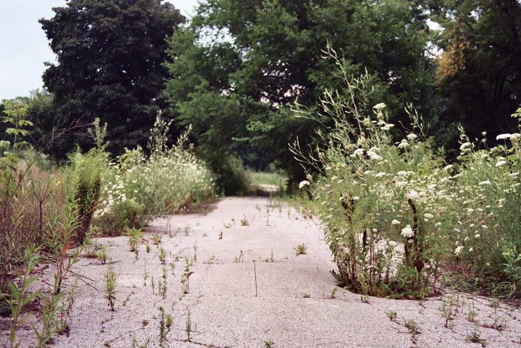 Abandoned Industrial Site, 2008