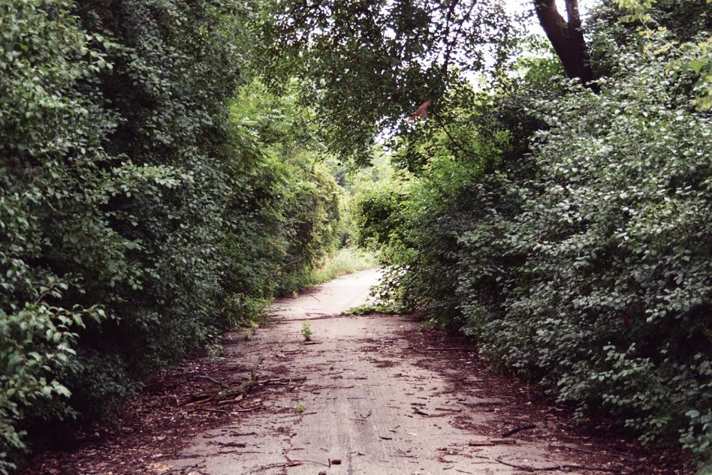 Abandoned Industrial Site, 2008