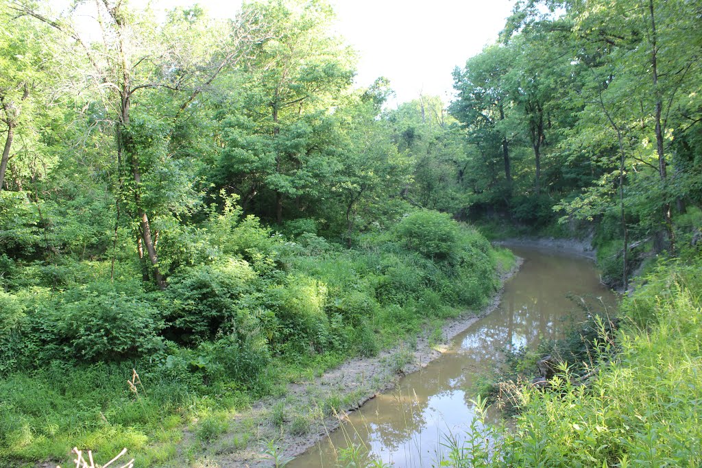 Creek by Hospital