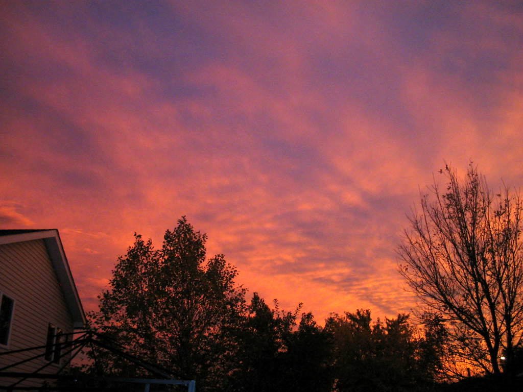 Fall Evening 07