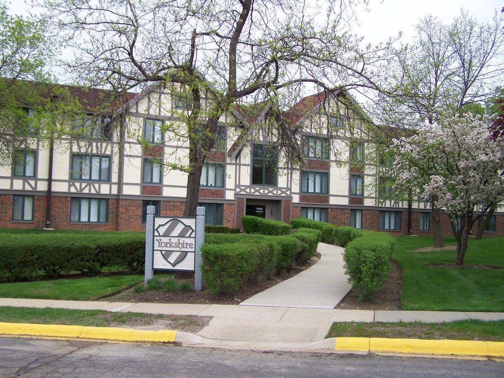 International Village