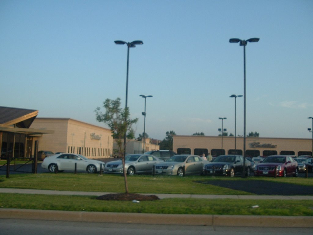 Cadillac Heritage Dealer, Lombard, IL
