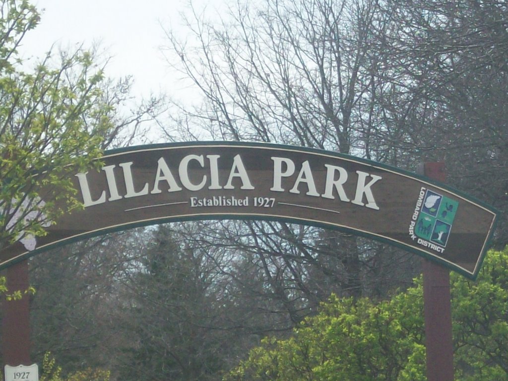 in down town lombard- lilacia park sign