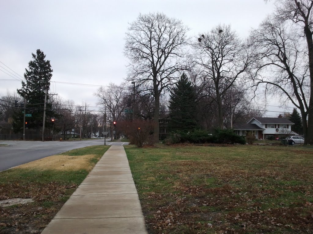 Lombard Heinous Hate Crimes:  Burnt Grasslawn on Washington Blvd. and Westmore-Meyers Road, York Township, DuPage County, Illinois 60148 USa