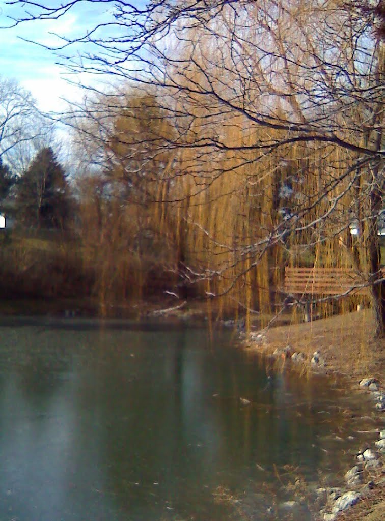 Lombard Village Pond