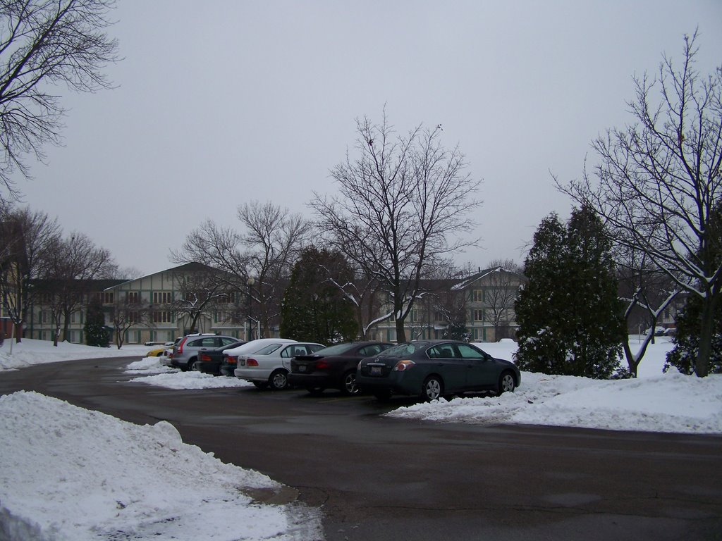International Village, Lombard