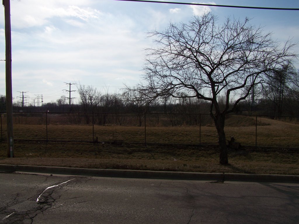 Field