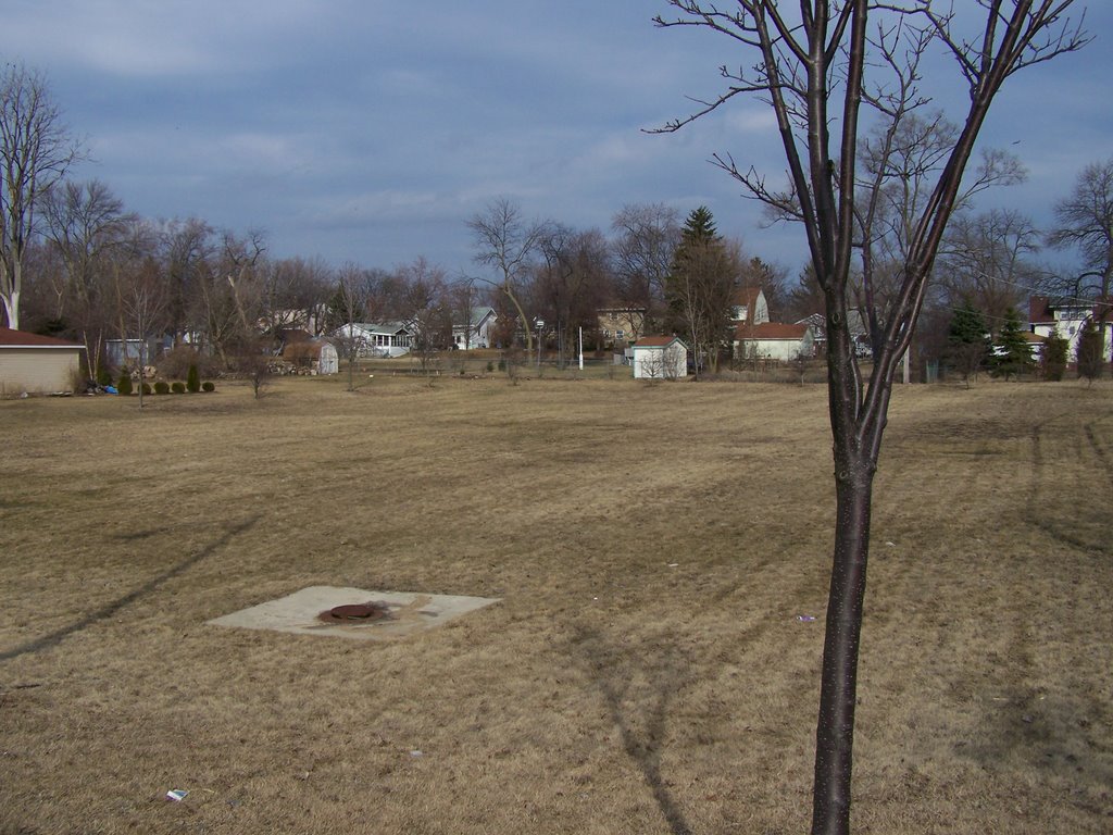 Field