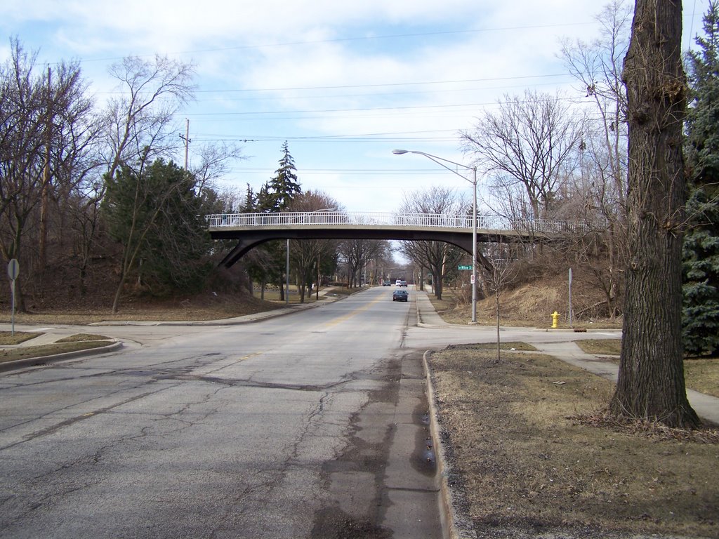 On Finley Road, Looking North to Prairie Path Bridge