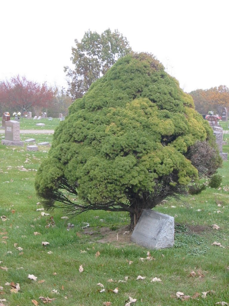 Oakwood Cemetery