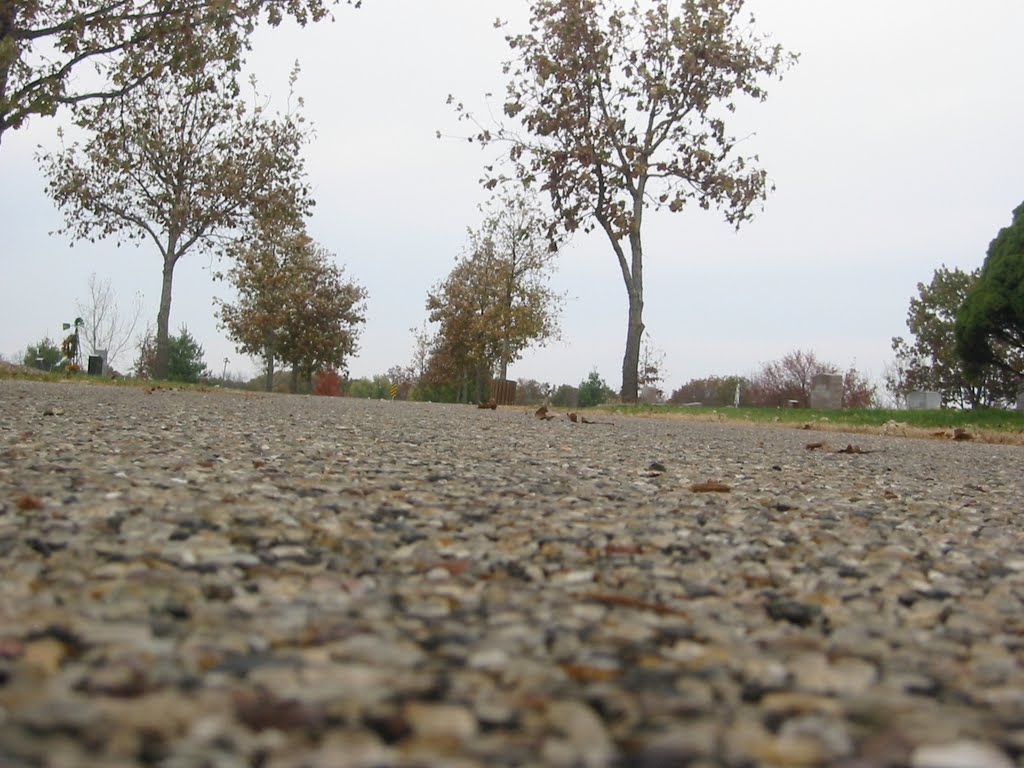 Oakwood Cemetery
