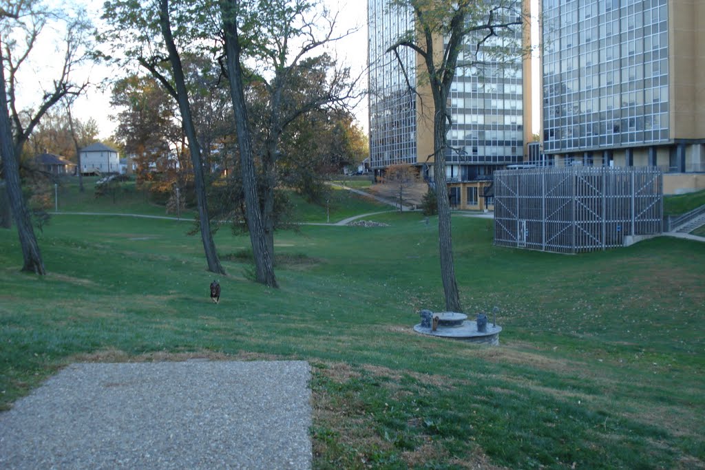 dorms and tee pad