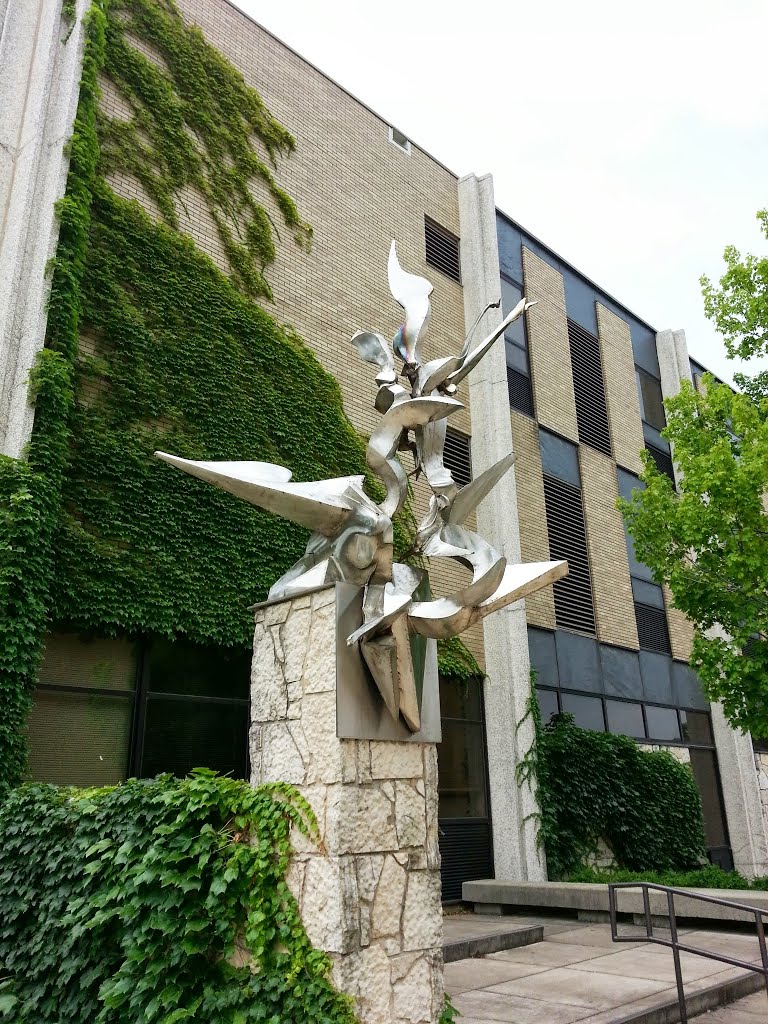 The Dove