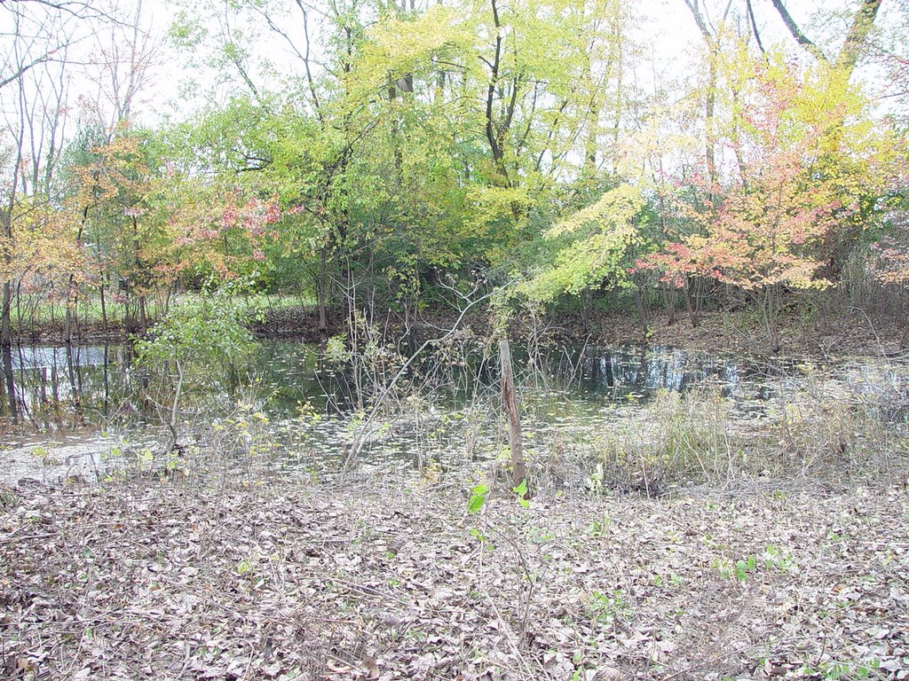 Marsh at 155th Street at Brennen Highway
