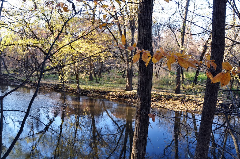 - Autumn Colors - Chicago River (North branch) in St Paul Wood / Morton Grove