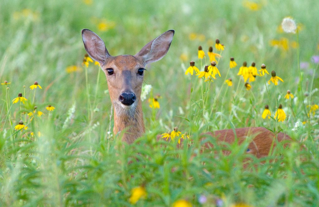 "Hi there!"