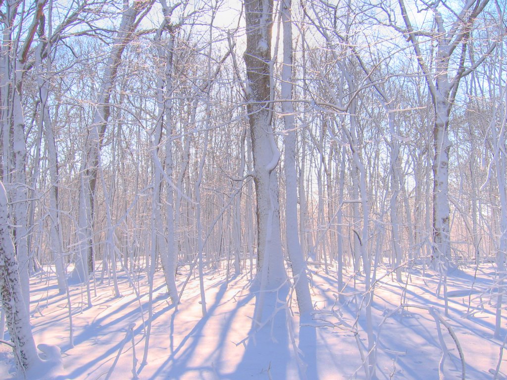 After snowstorm in Dec 2007