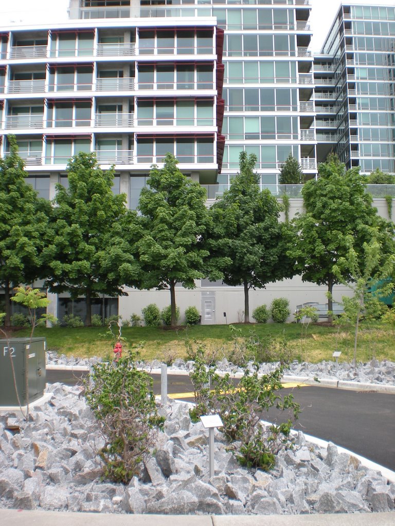 Condos in Skokie
