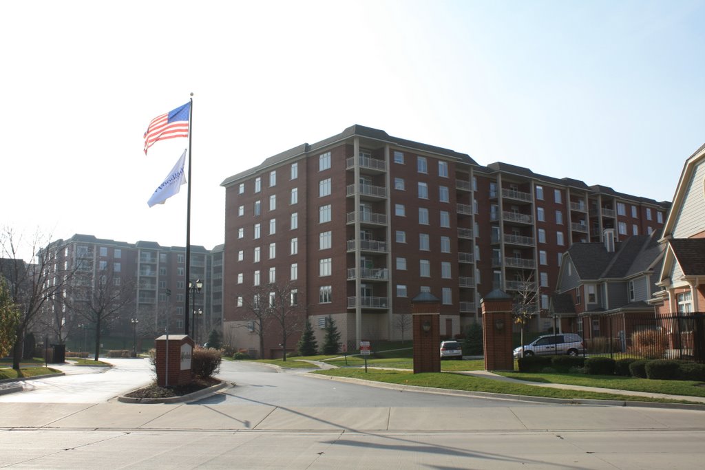 The Woodlands