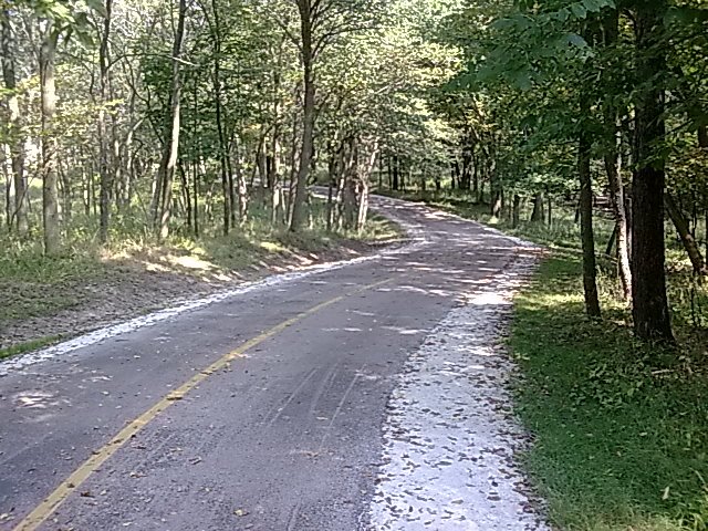 path way
