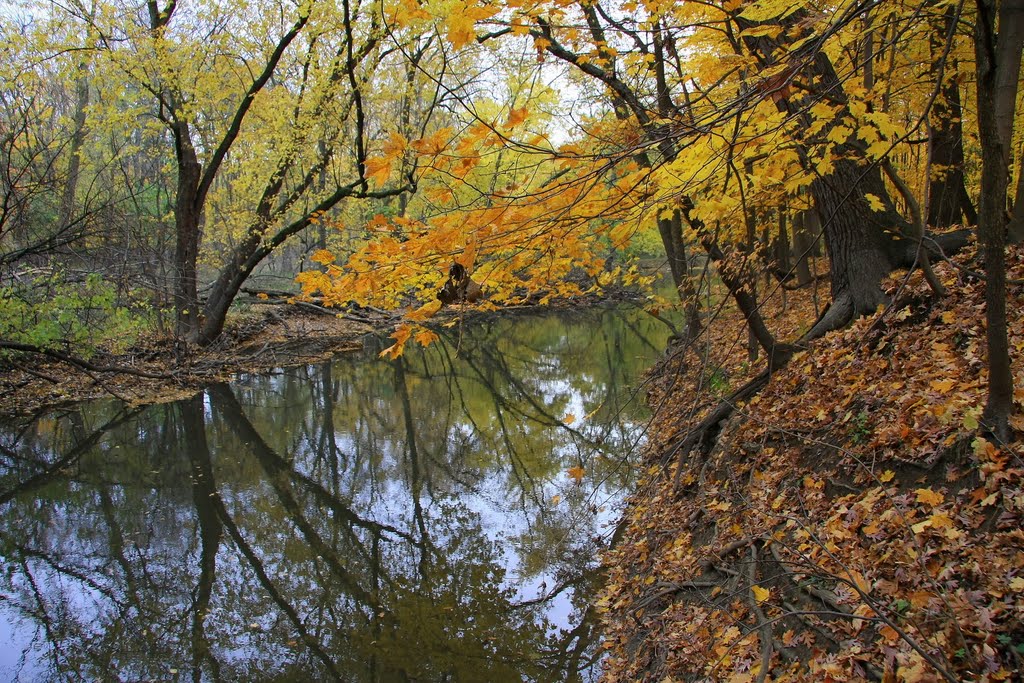 North Branch, Chicago River