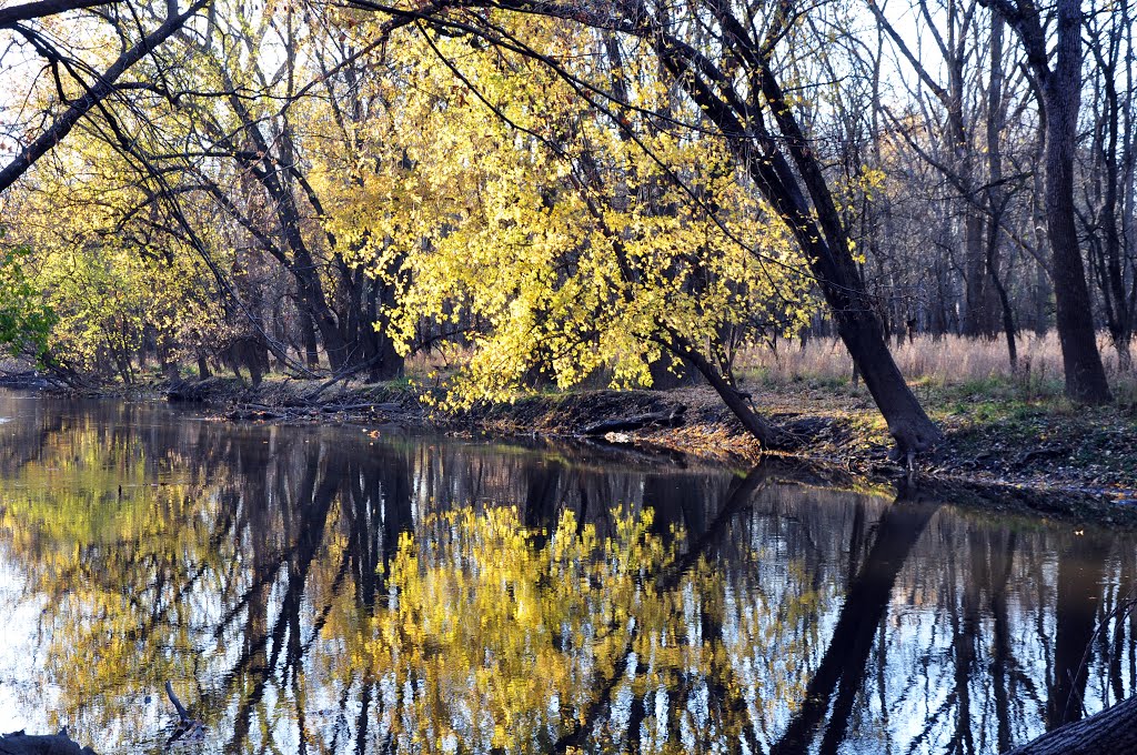 Chicago River (North branch) in St Paul Wood - Autumn Colors
