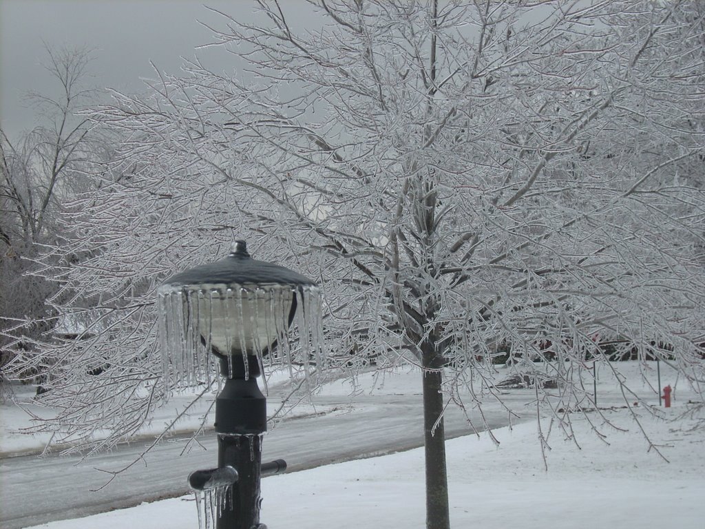 Ice Storm 12/08