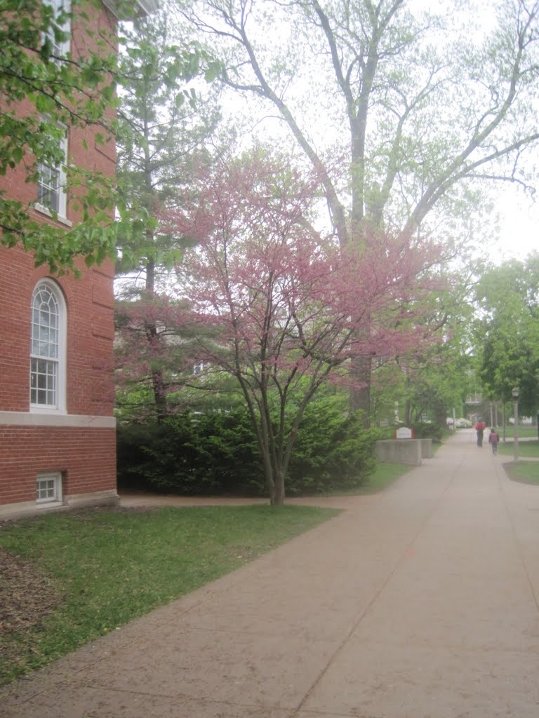 Quad