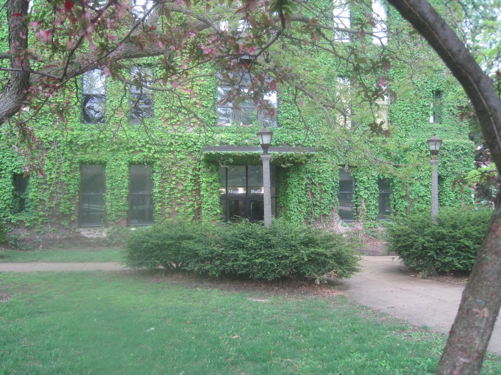 A building