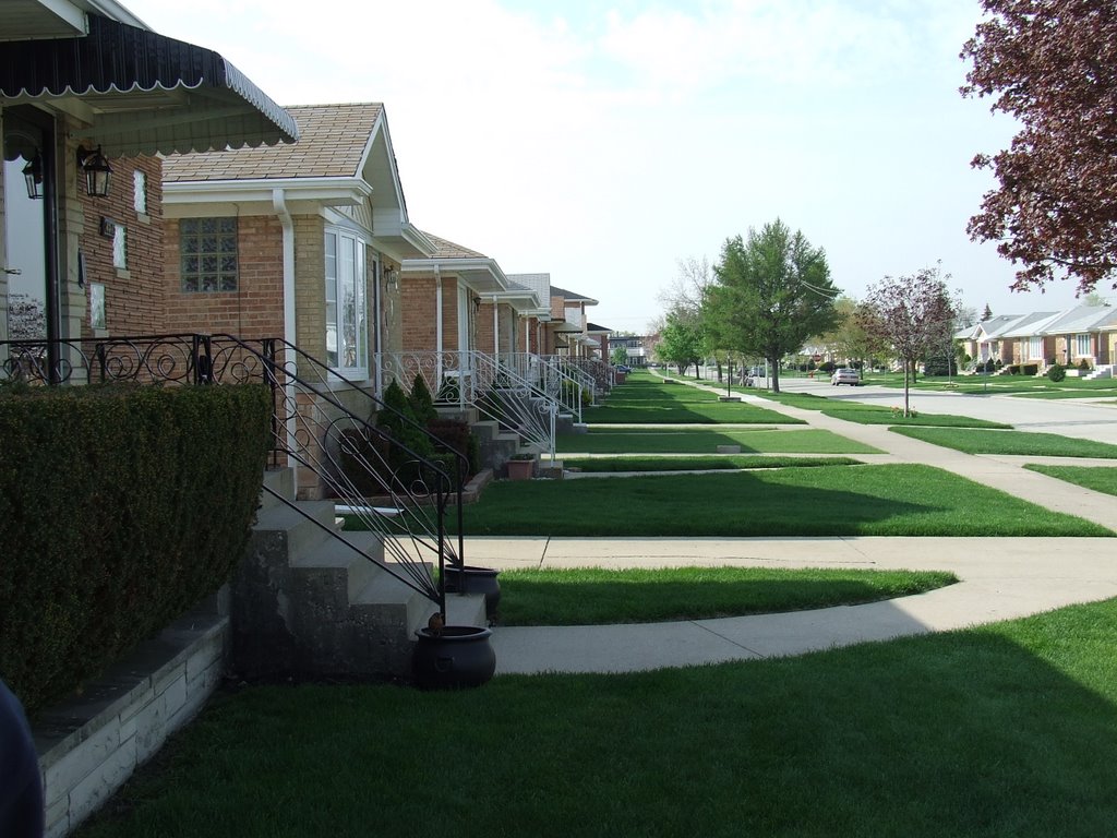 Houses in Chicago