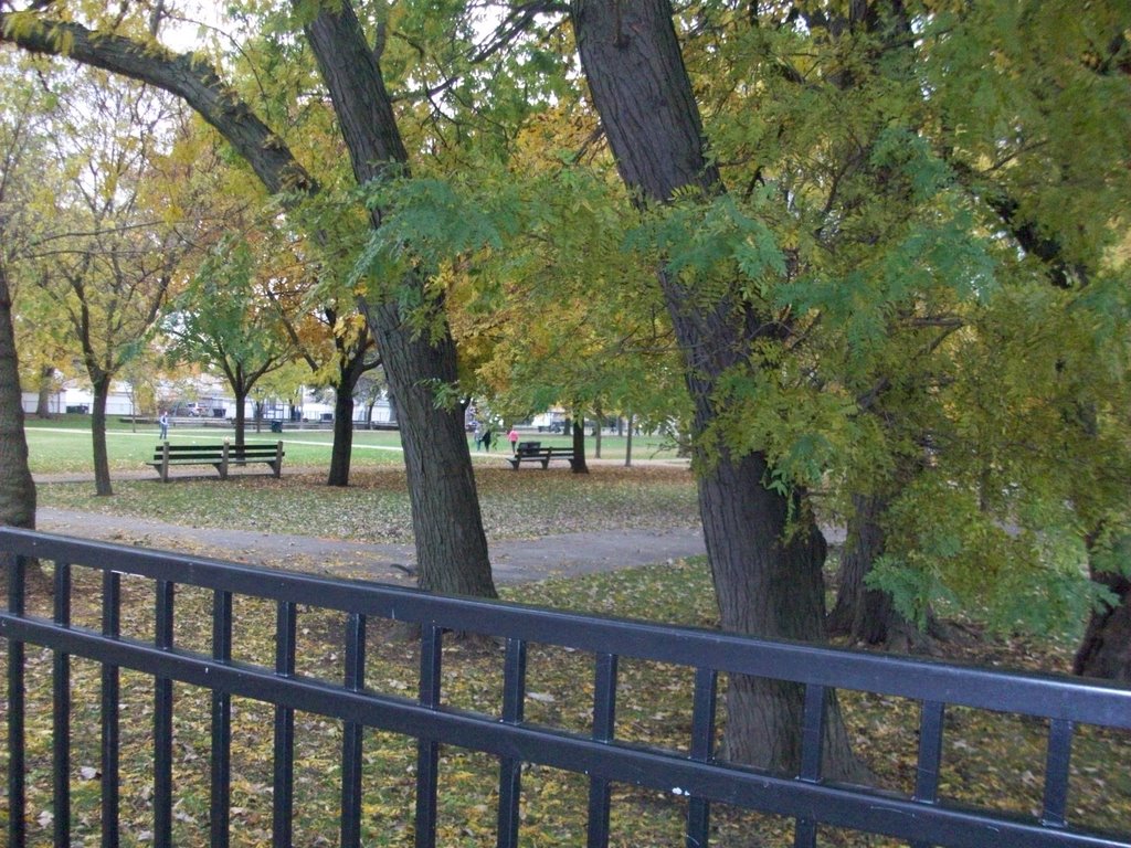 shabbona park