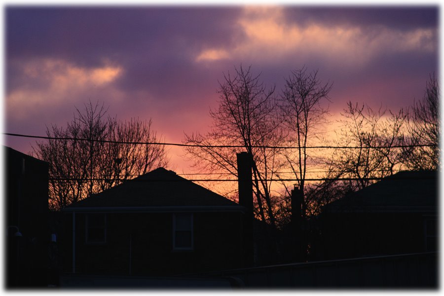 Sunset over Elmwood Park